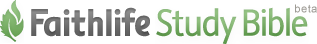 logo-beta